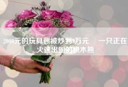 2000元的玩具熊被炒到3万元  一只正在火速出圈的积木熊
