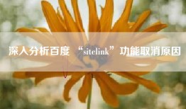深入分析百度 “sitelink”功能取消原因