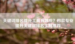 关键词排名提升工具有哪些？四款专业提升关键词排名工具推荐
