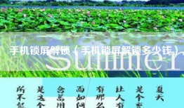 手机锁屏解锁（手机锁屏解锁多少钱）