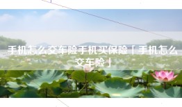 手机怎么交车险手机买保险「手机怎么交车险」