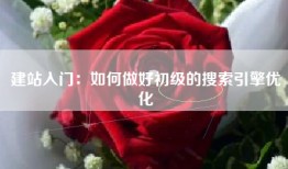 建站入门：如何做好初级的搜索引擎优化