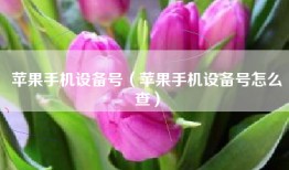 苹果手机设备号（苹果手机设备号怎么查）