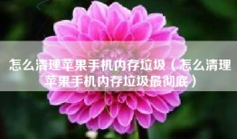 怎么清理苹果手机内存垃圾（怎么清理苹果手机内存垃圾最彻底）