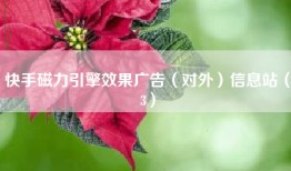 快手磁力引擎效果广告（对外）信息站（3）