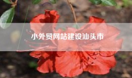 小外贸网站建设汕头市