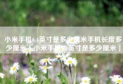 小米手机6.4英寸是多少厘米手机长度多少厘米「小米手机6.4英寸是多少厘米」