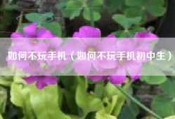 如何不玩手机（如何不玩手机初中生）