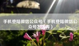 手机登陆微信公众号（手机登陆微信公众号怎么弄）