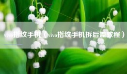 vivo指纹手机（vivo指纹手机拆后盖教程）