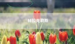 赫拉克勒斯