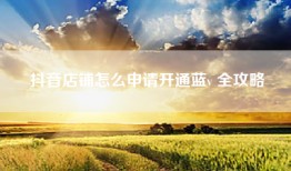 抖音店铺怎么申请开通蓝v 全攻略