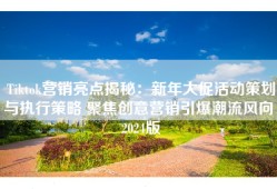 Tiktok营销亮点揭秘：新年大促活动策划与执行策略 聚焦创意营销引爆潮流风向 2024版