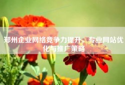 郑州企业网络竞争力提升，专业网站优化与推广策略