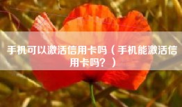 手机可以激活信用卡吗（手机能激活信用卡吗？）
