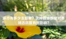 深市有多少支股票？这种股票数量对市场活跃度有何影响？