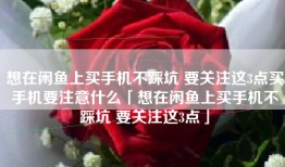 想在闲鱼上买手机不踩坑 要关注这3点买手机要注意什么「想在闲鱼上买手机不踩坑 要关注这3点」