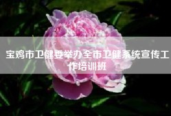 宝鸡市卫健委举办全市卫健系统宣传工作培训班