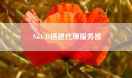 NodeJS搭建代理服务器