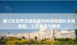 雁江区自然资源和规划局领导团队全新亮相，工作展望与期待
