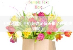 手机老婆（手机老婆定位关机了还能找到呢）