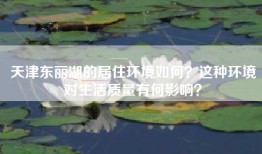 天津东丽湖的居住环境如何？这种环境对生活质量有何影响？
