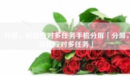 分屏，轻松应对多任务手机分屏「分屏，轻松应对多任务」