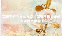 苹果手机充电就发烫（苹果手机充电就发烫什么原因）