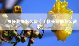 手机长截屏怎么截（手机长截屏怎么截取）