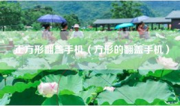 正方形翻盖手机（方形的翻盖手机）