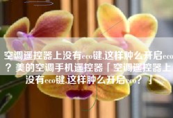 空调遥控器上没有eco键,这样肿么开启eco？美的空调手机遥控器「空调遥控器上没有eco键,这样肿么开启eco？」