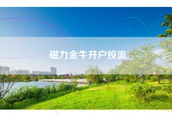 磁力金牛开户投流
