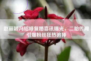 赵丽颖冯绍峰复婚喜讯曝光，二胎传闻引爆粉丝狂热追捧