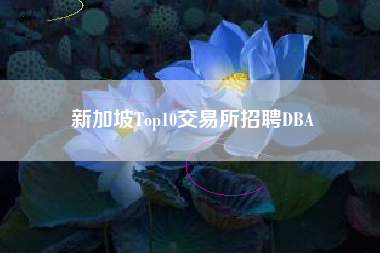 新加坡Top10交易所招聘DBA
