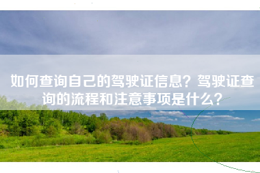 如何查询自己的驾驶证信息？驾驶证查询的流程和注意事项是什么？