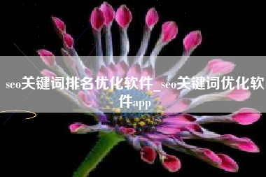 seo关键词排名优化软件_seo关键词优化软件app