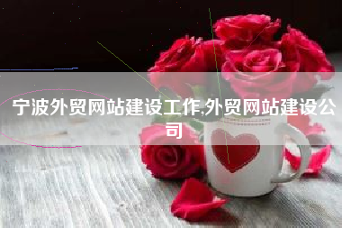 宁波外贸网站建设工作,外贸网站建设公司