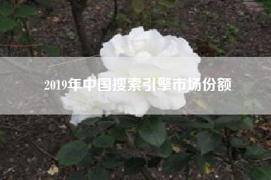 2019年中国搜索引擎市场份额