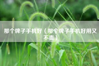 那个牌子手机好（那个牌子手机好用又不贵）