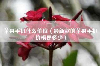 苹果手机什么价位（最新款的苹果手机价格是多少）