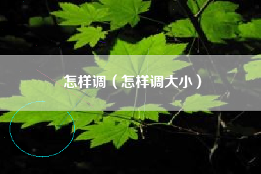 怎样调（怎样调大小）