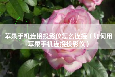 苹果手机连接投影仪怎么连接（如何用苹果手机连接投影仪）