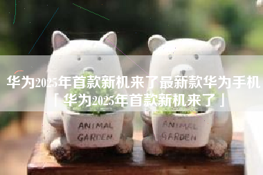华为2025年首款新机来了最新款华为手机「华为2025年首款新机来了」