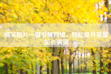 搞笑图片一键引爆网络，轻松提升流量笑点满满