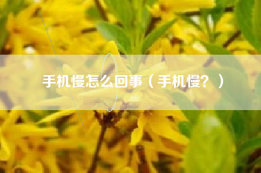 手机慢怎么回事（手机慢？）