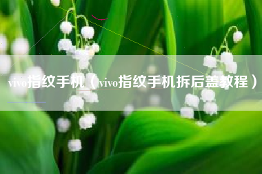 vivo指纹手机（vivo指纹手机拆后盖教程）