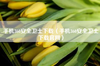 手机360安全卫士下载（手机360安全卫士下载官网）