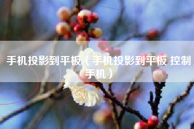 手机投影到平板（手机投影到平板 控制手机）