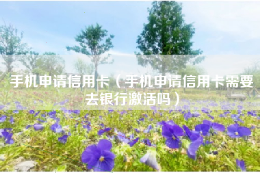 手机申请信用卡（手机申请信用卡需要去银行激活吗）