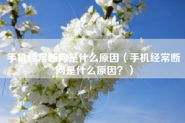 手机经常断网是什么原因（手机经常断网是什么原因？）
